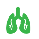 Pulmonology